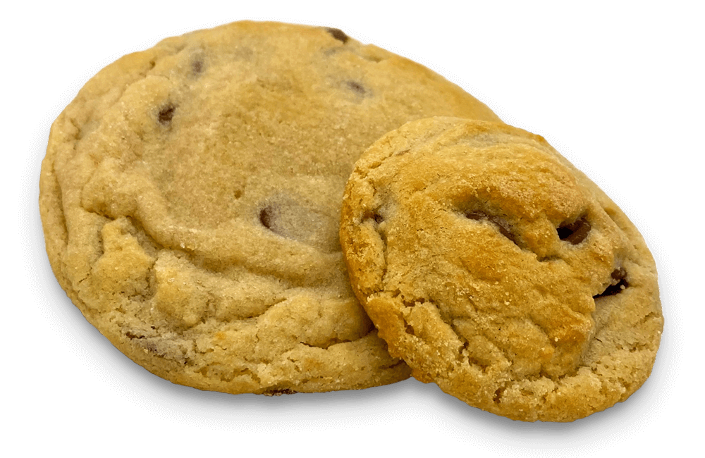 chocolate chip cookie