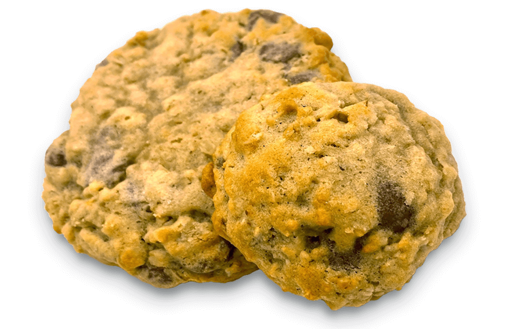 oatmeal chocolate chip cookie
